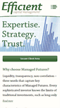 Mobile Screenshot of efficient.com